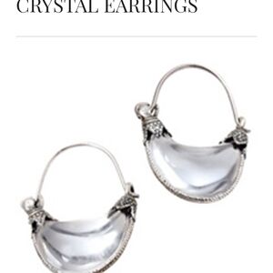 Elegant Silver Crystal Earrings